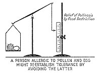 A person allergic to pollen and egg might re-establish tolerance by avoiding the latter