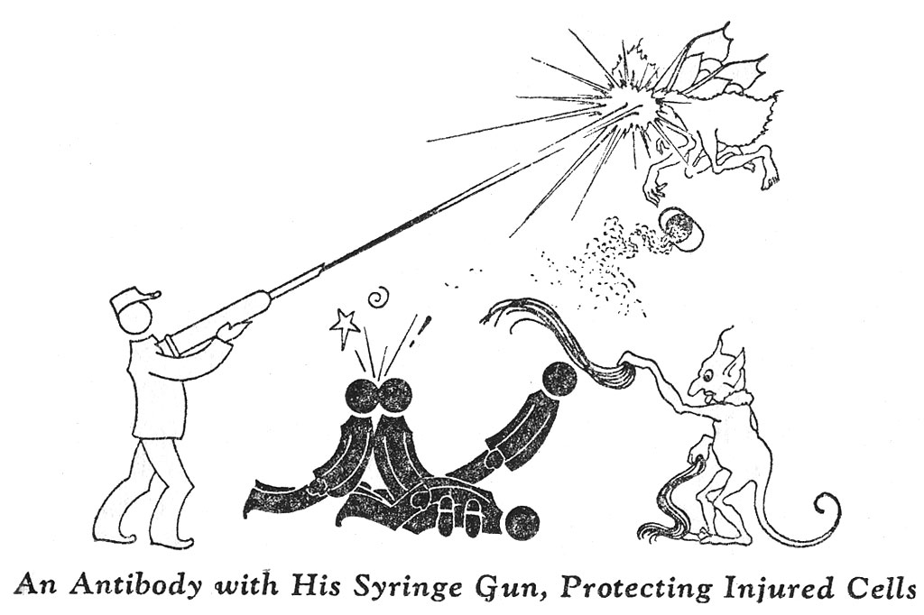 Antibody with Syringe Gun