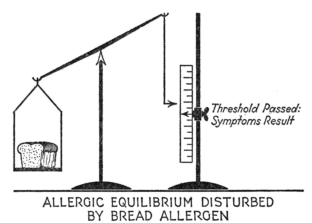 Allergic Equilibrium