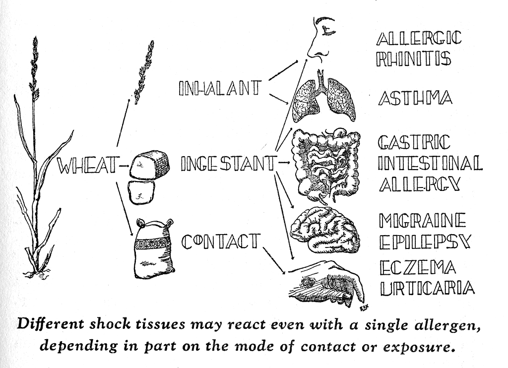 Different Shock Tissues