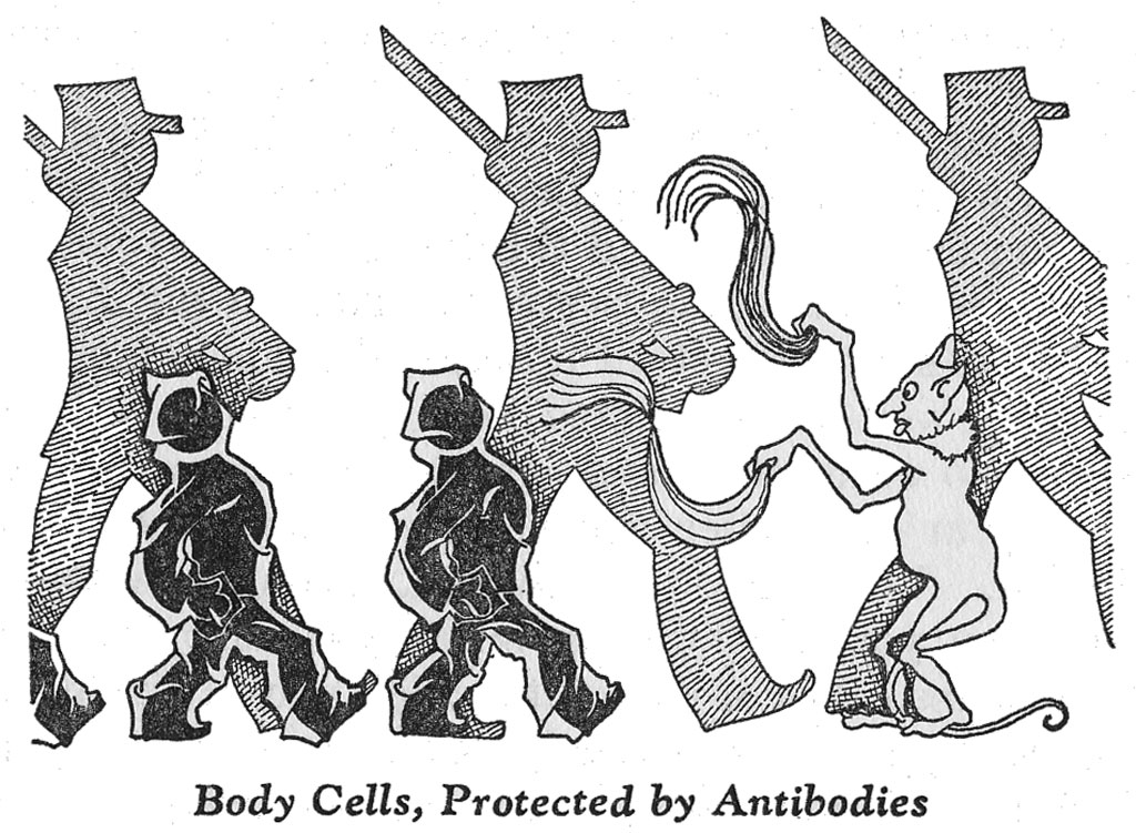 Body Cells